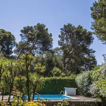 Ereira With Pool In Apartament *