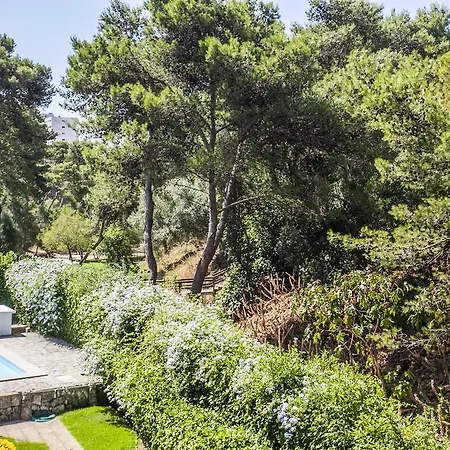 Apartament Ereira With Pool In *