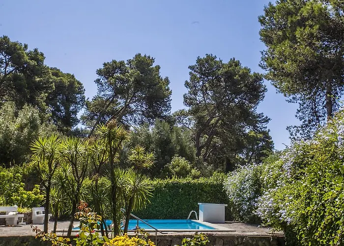 Ereira With Pool In Lejlighed *