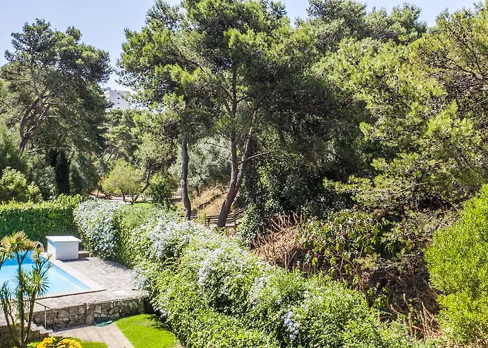 Apartment Ereira With Pool In *